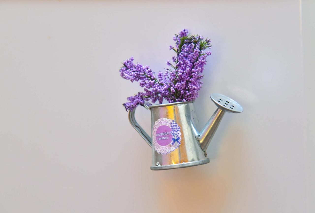 Apartment Golden Lavender Будва Экстерьер фото